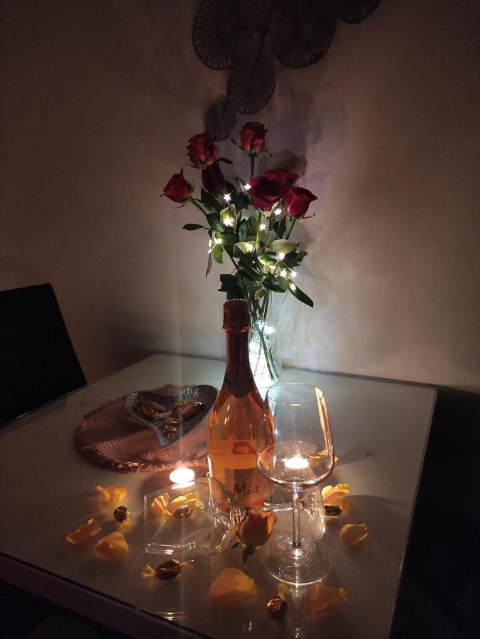 Roza Apartamento Zadar