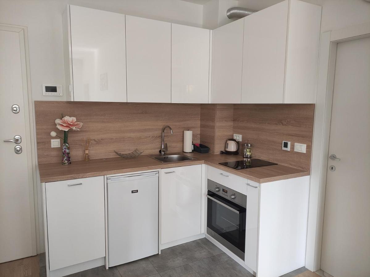 Apartment Roza